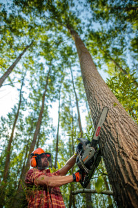 Villager motorna testera pila VGS 4125 PE